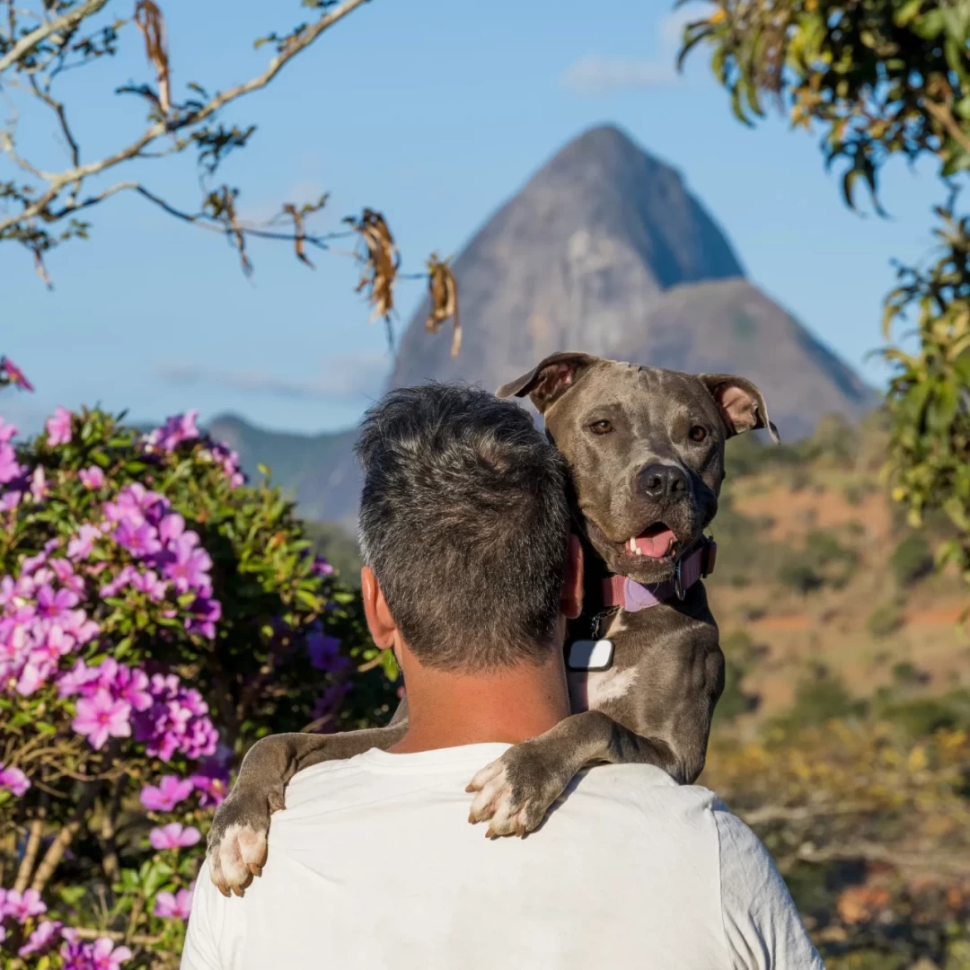 man-holding-pit-bull-dog-his-arms-admiring-nature-human-animal_24_11zon